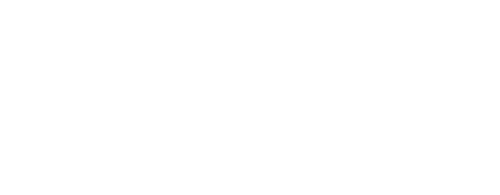 fileid-13123-100229-1754037955-wix-com-website-logo-svg