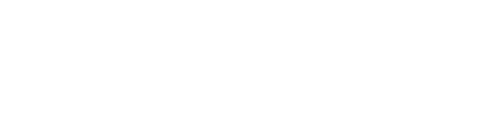 fileid-13123-100229-1754037957-wordpress-logo